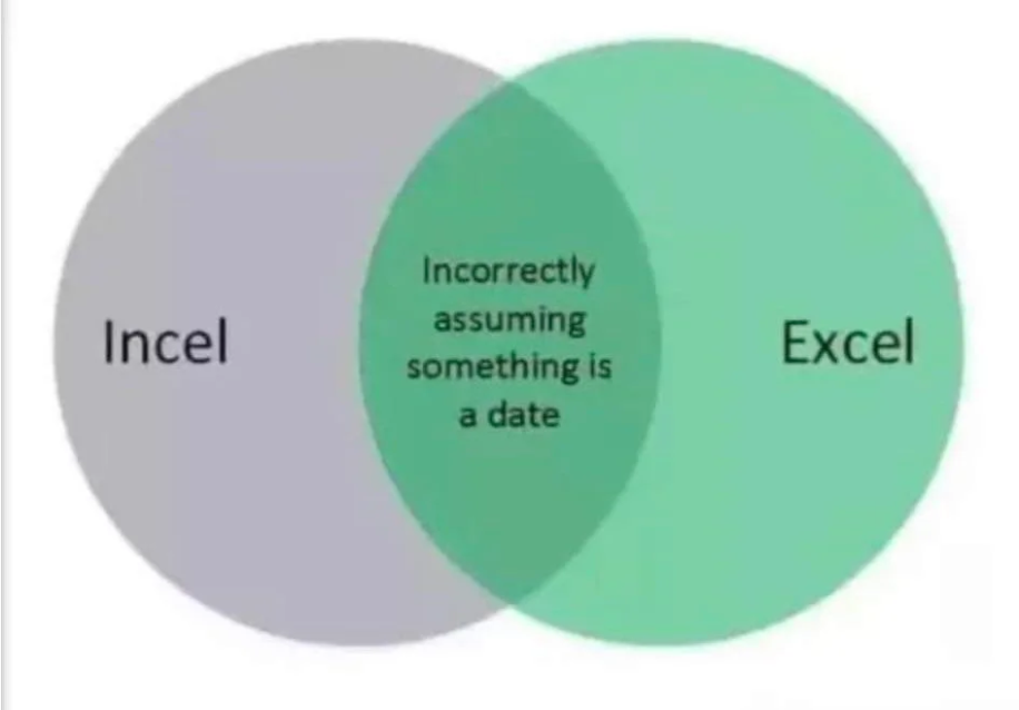 Obrázek INCEL EXCEL