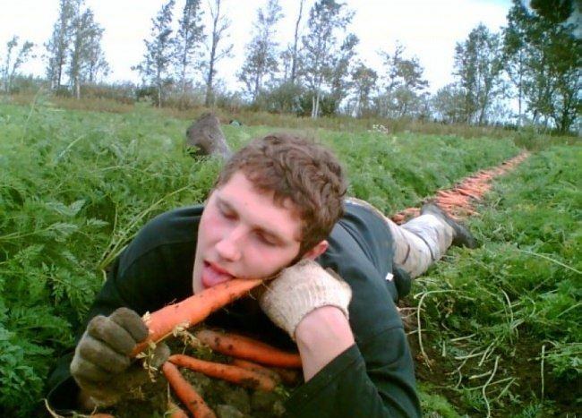 Obrázek I Dont Carrot All