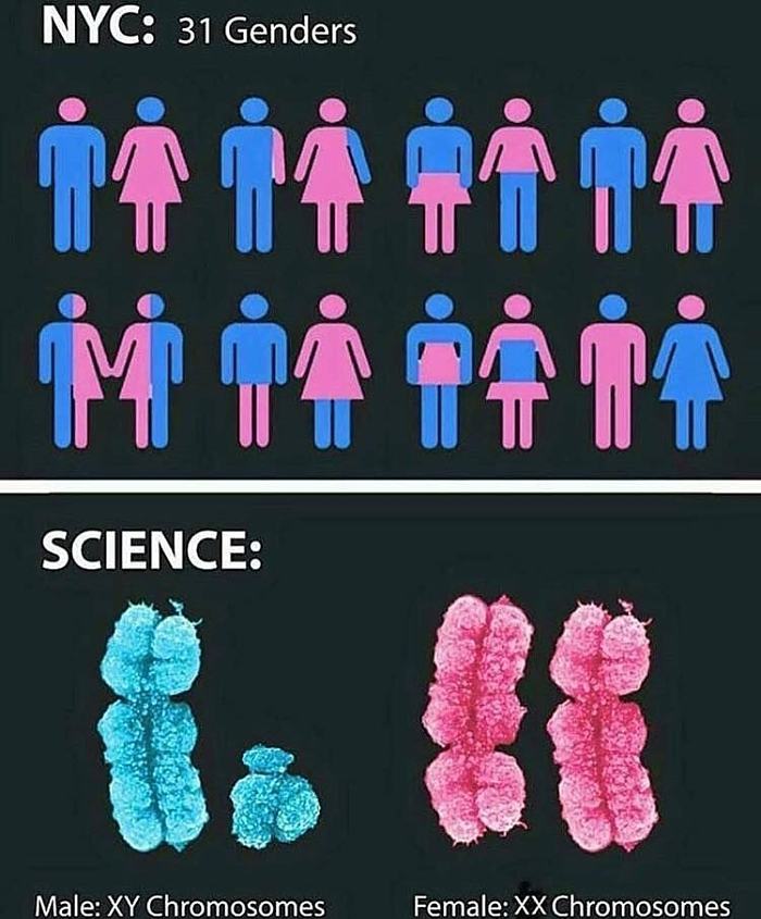 Obrázek Insanity-vs-Reality