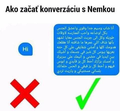 Obrázek Jak konverzovat s nemkou