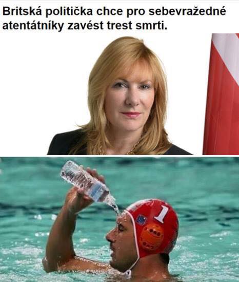 Obrázek Janice Atkinson