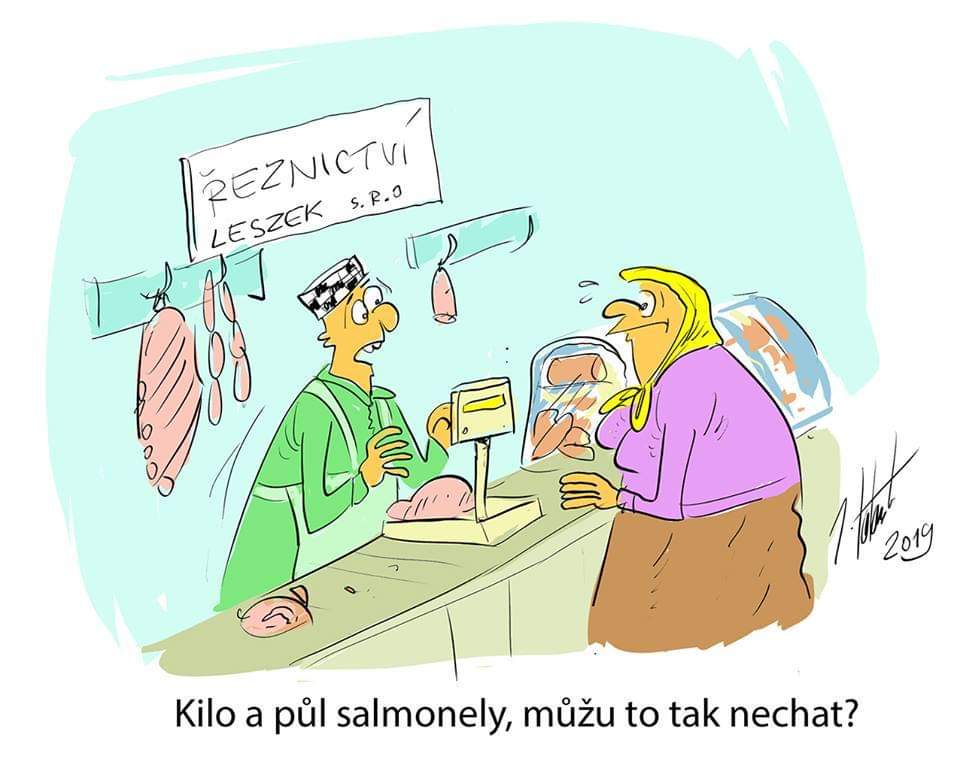 Obrázek Kilo a pul salmonely