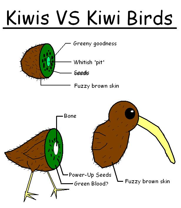 Obrázek Kiwi VS Kiwi