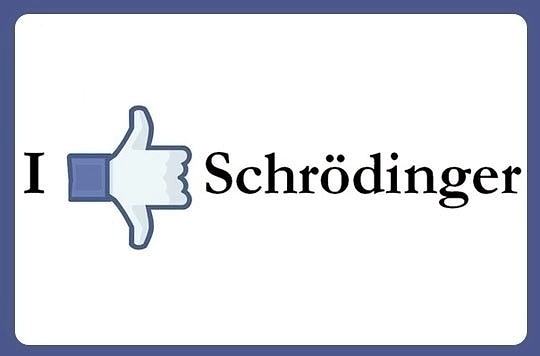 Obrázek Like-hand-Schrodinger