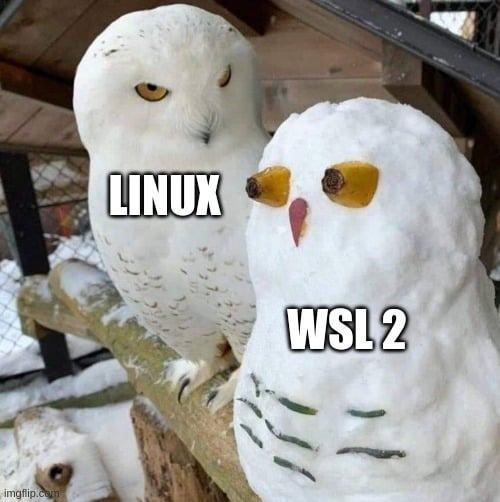 Obrázek Linux vs WSL2