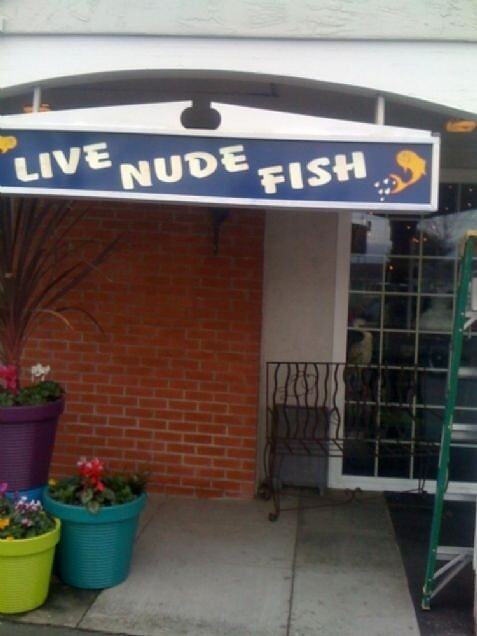 Obrázek Live nude fish