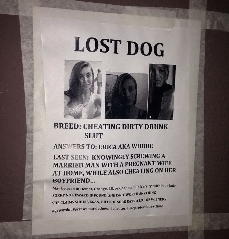 Obrázek Lost-Dog8876