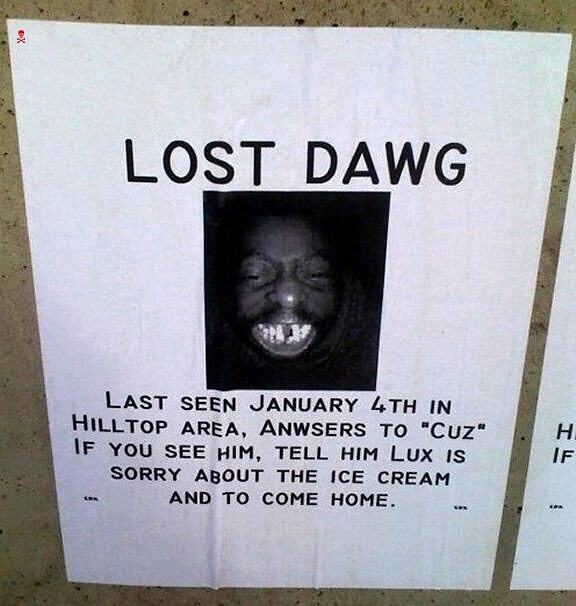 Obrázek Lost dawg