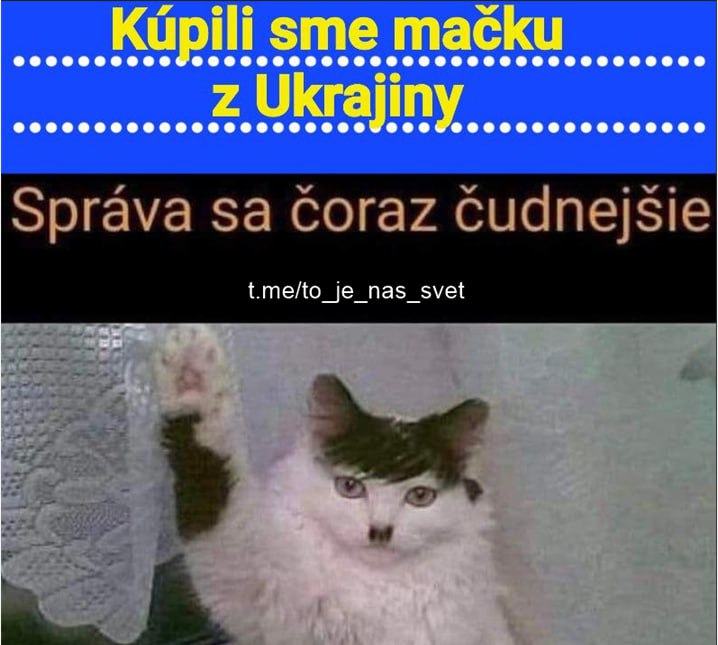 Obrázek Macka z UA