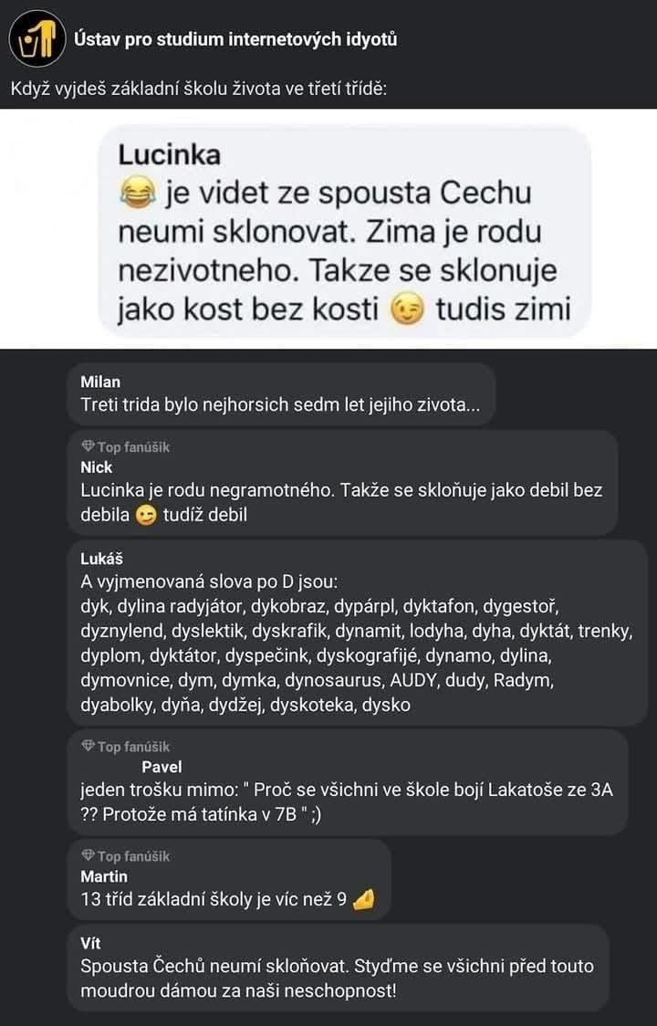 Obrázek MakeRoumingFunnyAgain-zimaOdKosti