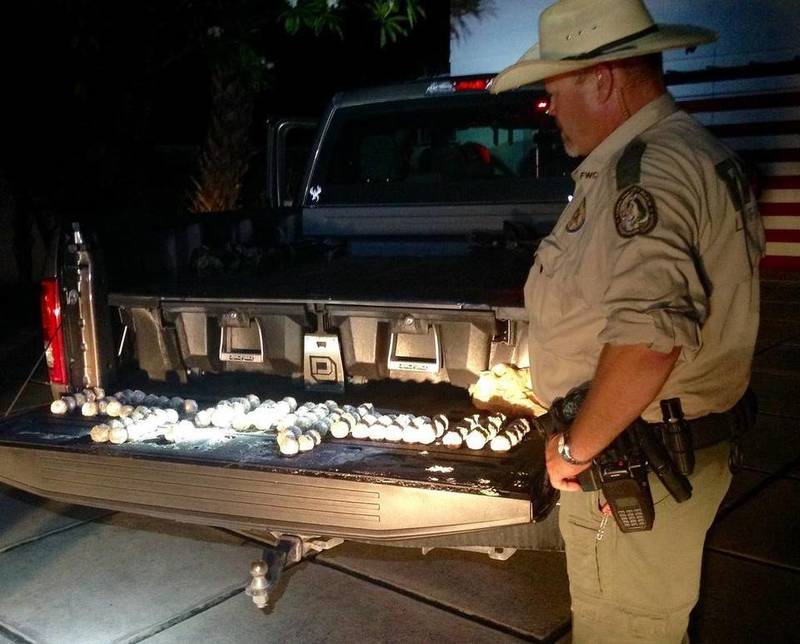 Obrázek Man arrested for stealing over 100 sea turtle eggs