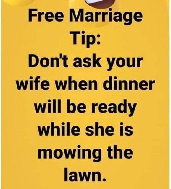 Obrázek Marriage advice