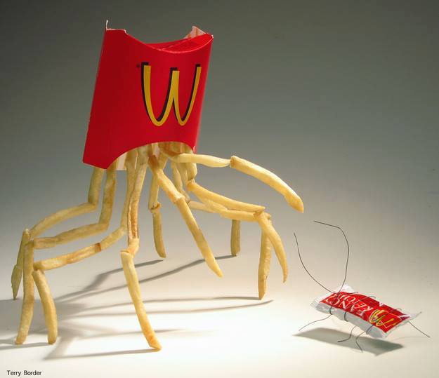 Obrázek McDonalds evoluce