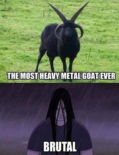 Obrázek Metal-goat  