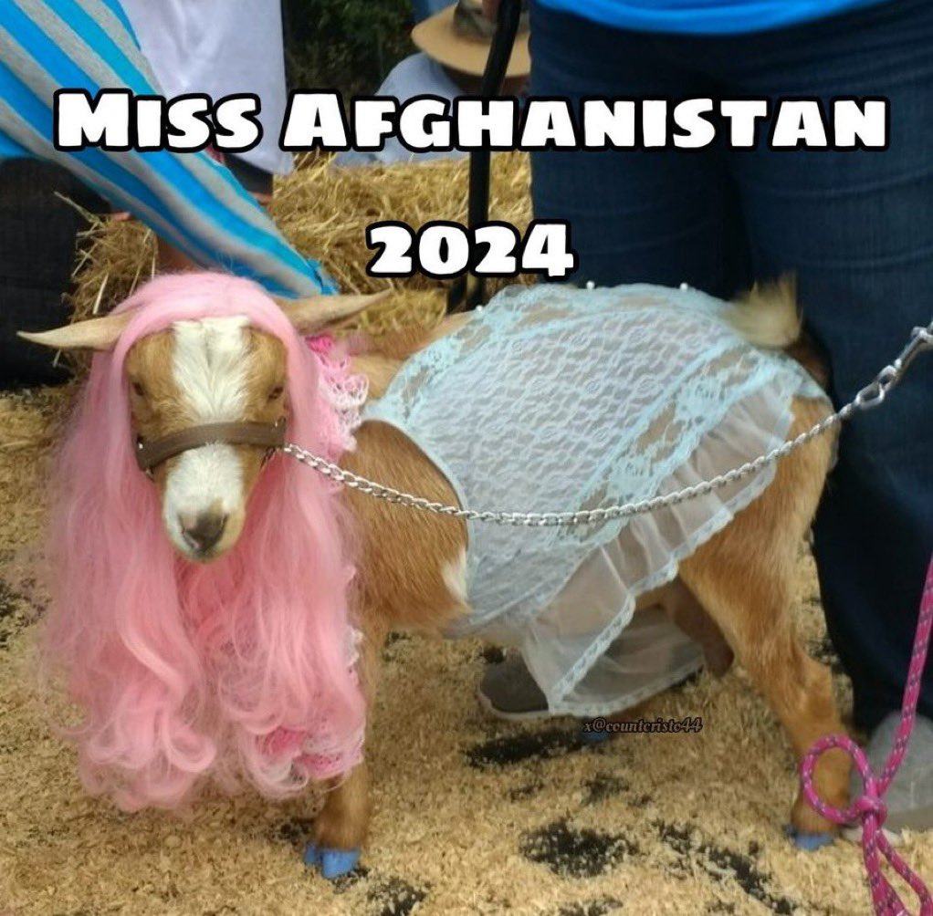 Obrázek Miss Afghanistan 2025