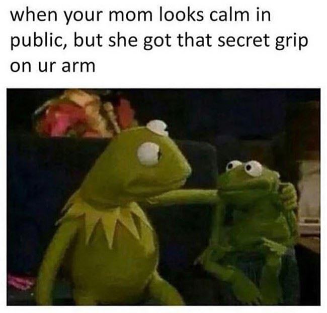 Obrázek Mom Has The Secret Grip