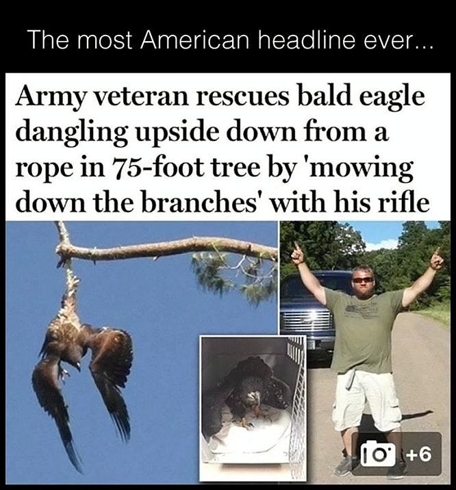 Obrázek Most American Headline
