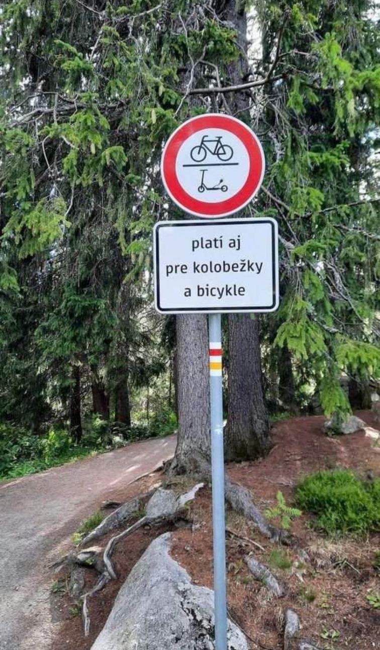 Obrázek Motyle a bicykle