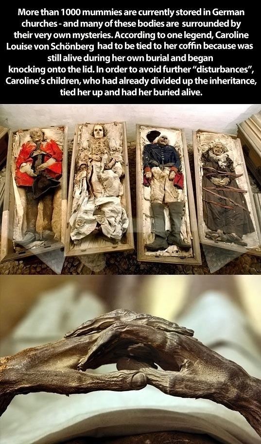 Obrázek Mummies-in-Germany E2 80 A6