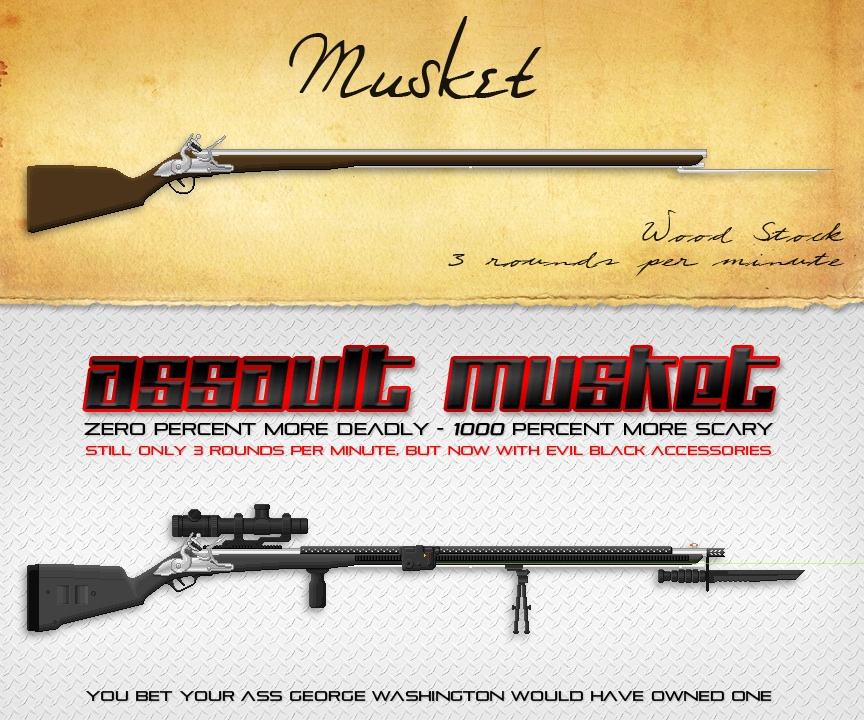Obrázek Musket-vs-Assault-Musket