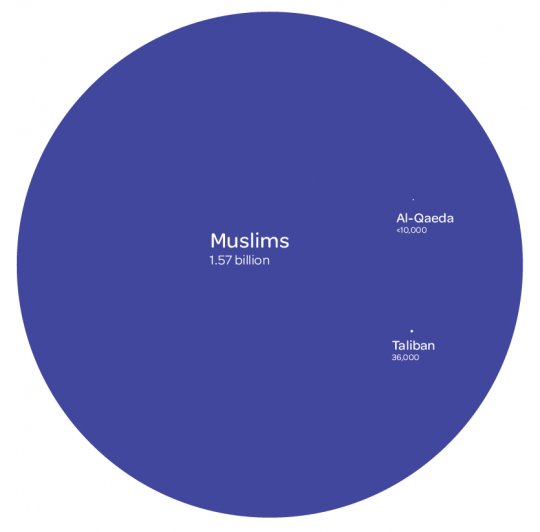 Obrázek Muslimove vs media