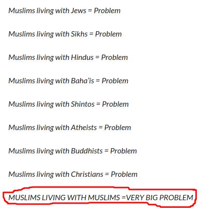 Obrázek Muslims explained