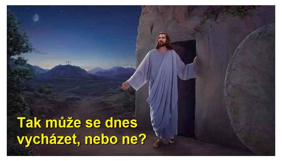 Obrázek Muze se