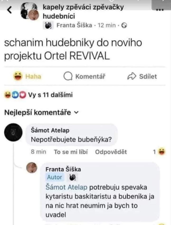 Obrázek Nejryzejsi podoba dezolatstvi