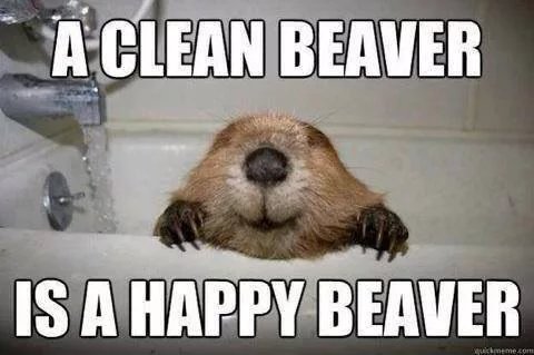 Obrázek Never-forget-to-bath-yout-beaver