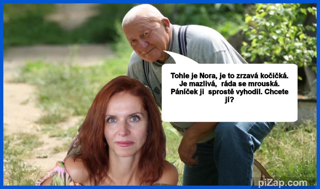 Obrázek Nora