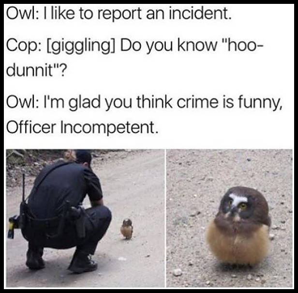 Obrázek Owl-Cop