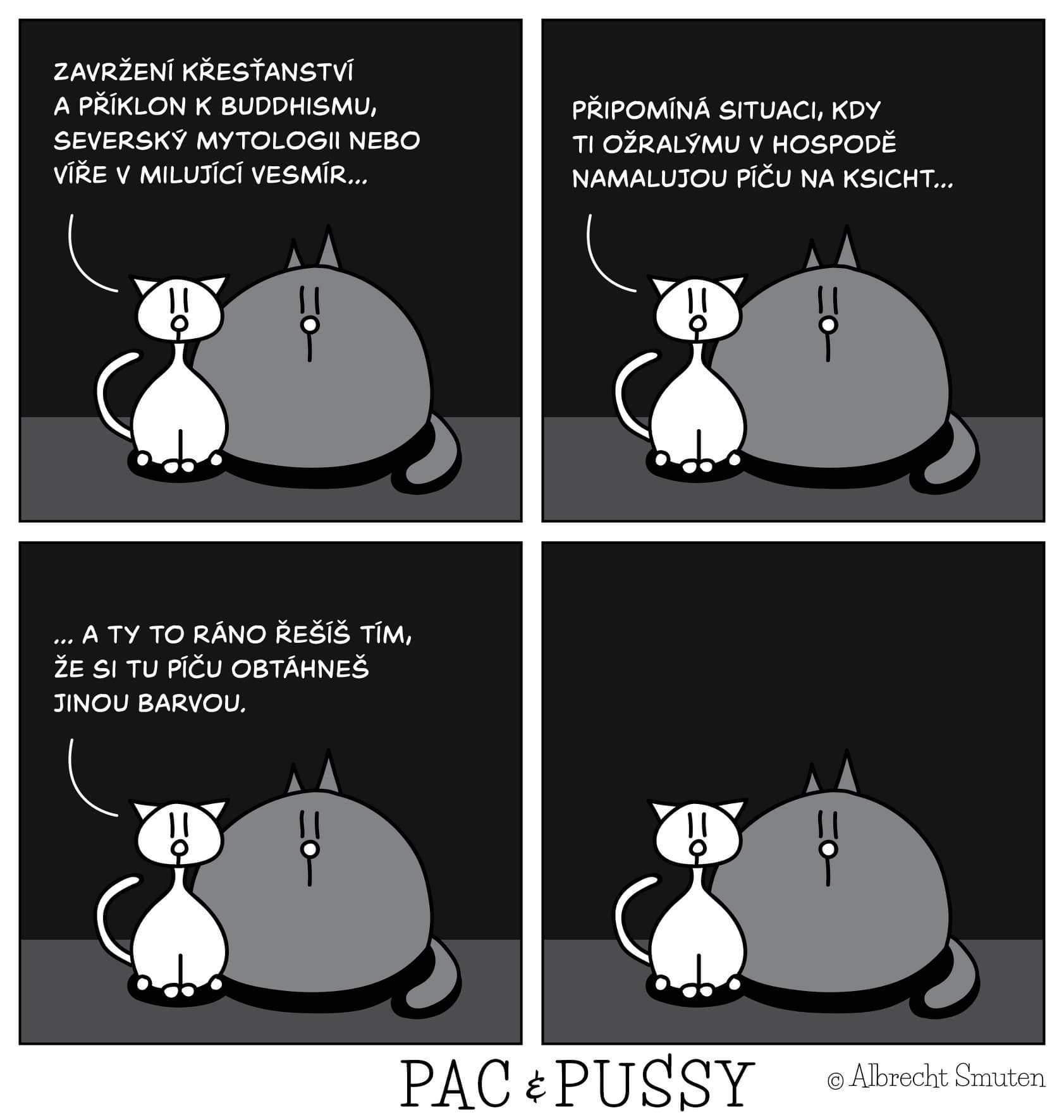 Obrázek Pac a pussy 6171