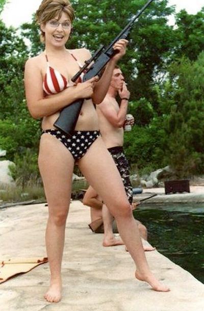 Obrázek Palin gun