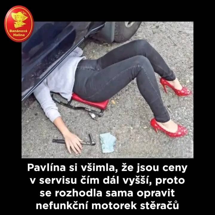 Obrázek Pavlina1