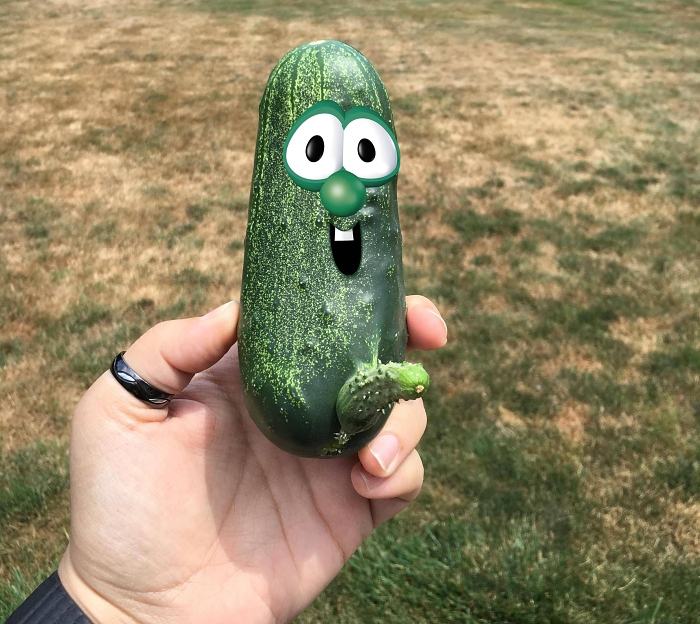 Obrázek Picked this cucumber this morning