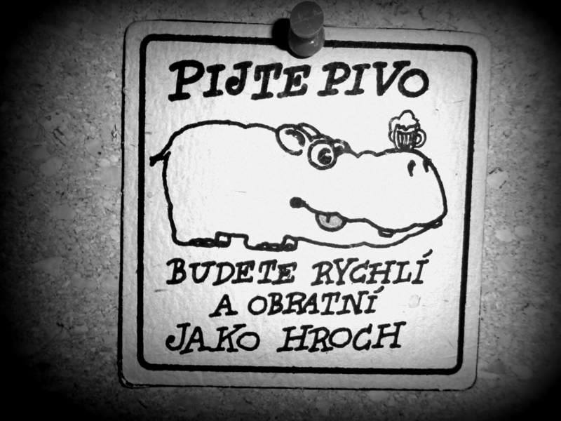 Obrázek Pivo jako hroch