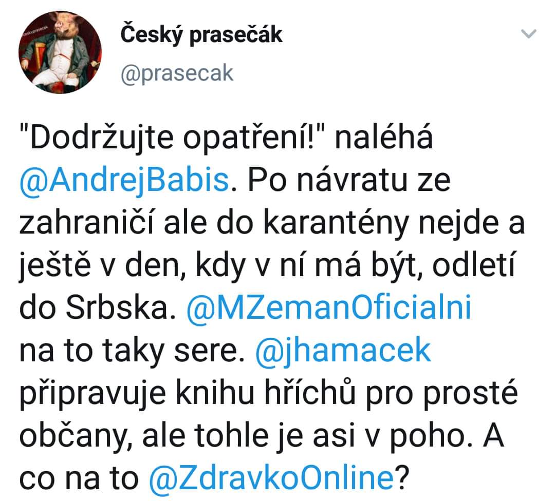 Obrázek Politicky prasecak indeed