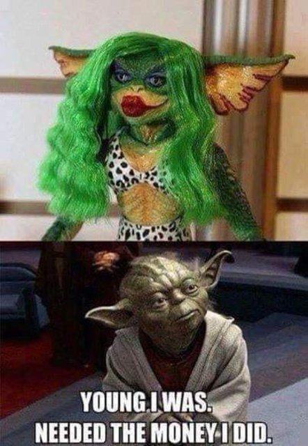 Obrázek Poor Young Yoda