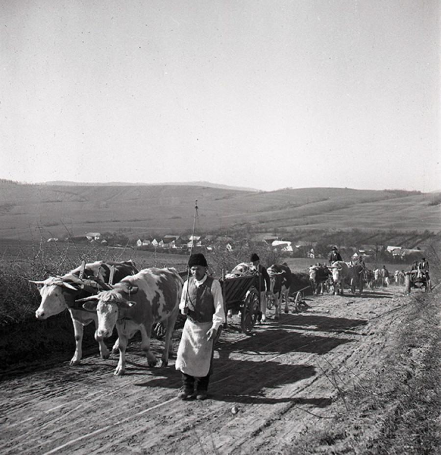 Obrázek Prespork 1982 kolorovano