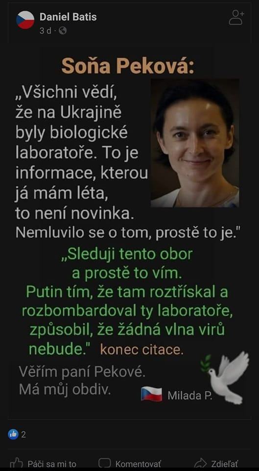 Obrázek Priatelia lobotomie CR