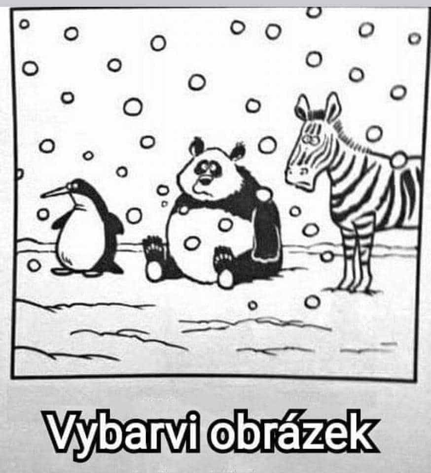 Obrázek ProRuzzakyTopri