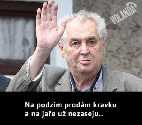 Obrázek Prodam kravku