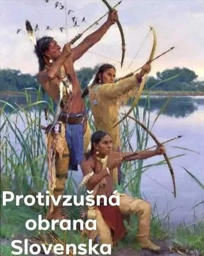 Obrázek Protivzdusna obrana Slovenska