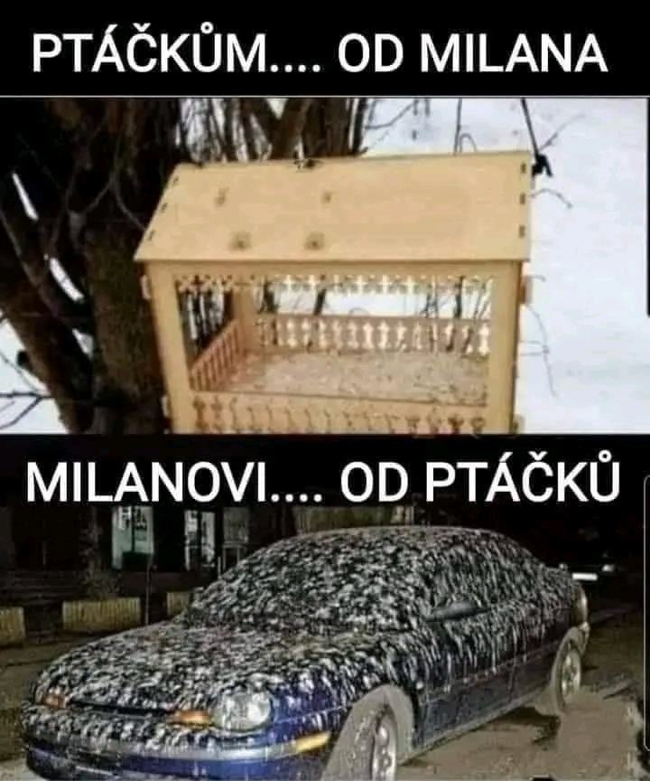 Obrázek Ptacci dekuji Milanovi