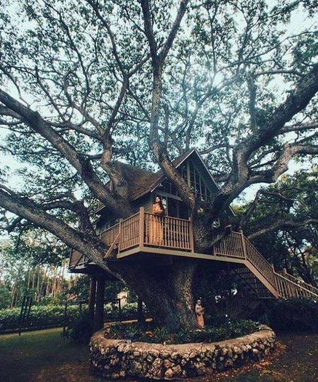 Obrázek Really Awesome TREE House