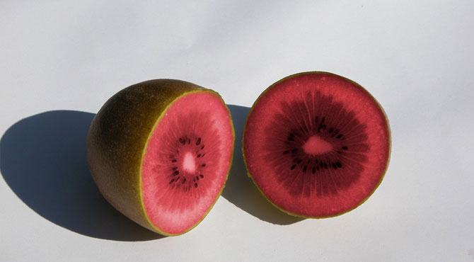 Obrázek Red-kiwifruit