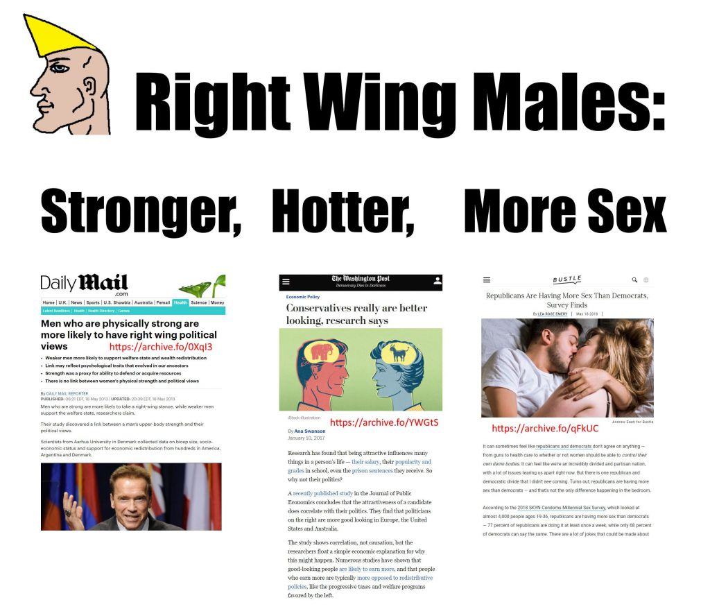 Obrázek Right wing males