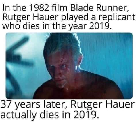 Obrázek Rip Hauer