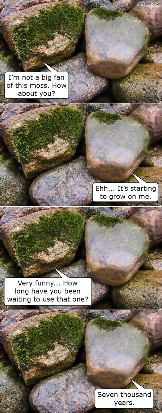 Obrázek Rock humor