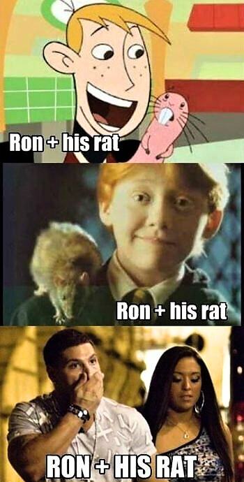 Obrázek Ron a jeho potkan